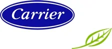 Carrier